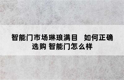 智能门市场琳琅满目   如何正确选购 智能门怎么样